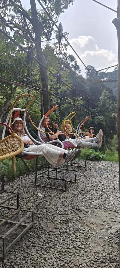 Volcano, Hot Spring, Mud Bath & Tea plantation all included - Is $69 good value?