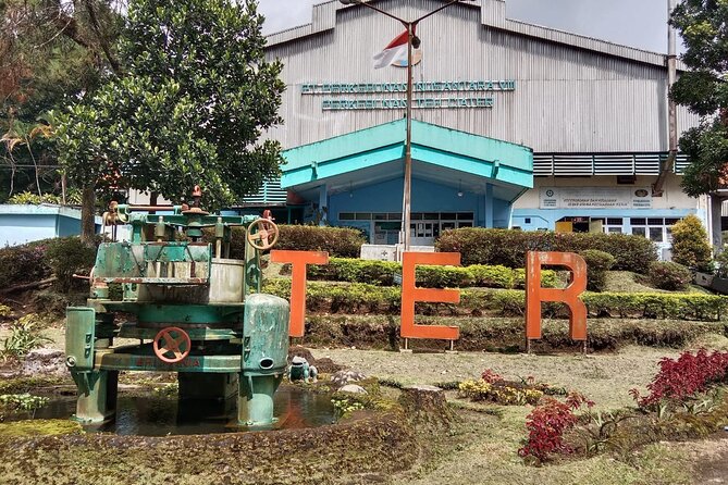 Volcano, Hot Spring, Tea Factory, rice fields and Coffee Tour - A long day from Jakarta into West Java