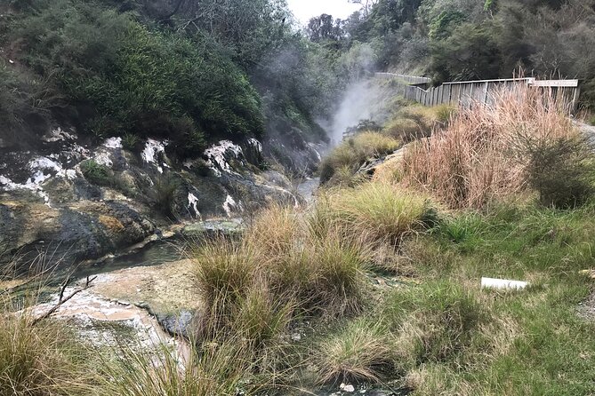 Waimangu Geothermal Valley & Lake Rotomahana Tour – 7hrs - Key Points to Know Before You Go