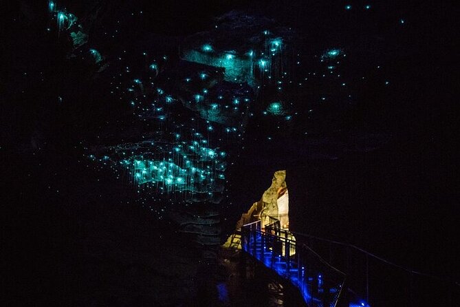 Waitomo Glow Worm Caves & Te Puia - Rotorua's Geothermal Valley - Te Puia and the power of Pohutu Geyser