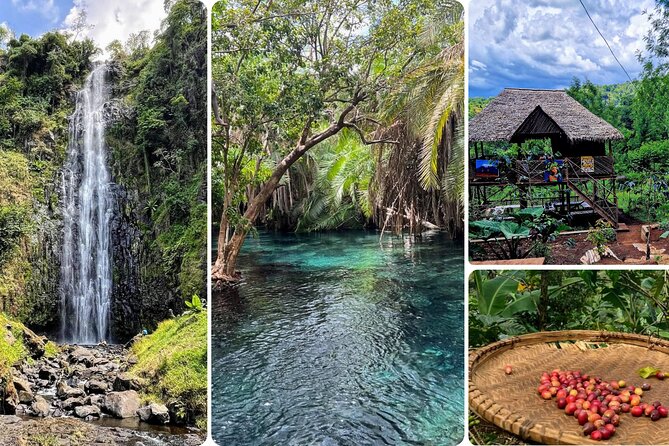 Waterfall, coffee tour & hot springs - lunch and drinks included - Key things to know before booking