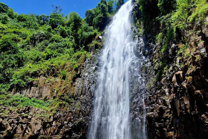 Waterfall, coffee tour & hot springs - lunch and drinks included - Who will enjoy this tour most