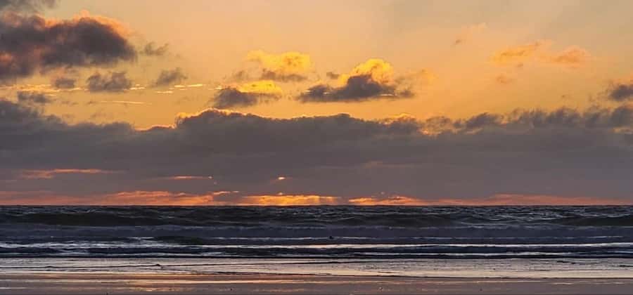 West Auckland: Sunset with Thermal pool & Wine Tasting - Dinner and wine at Hunting Lodge