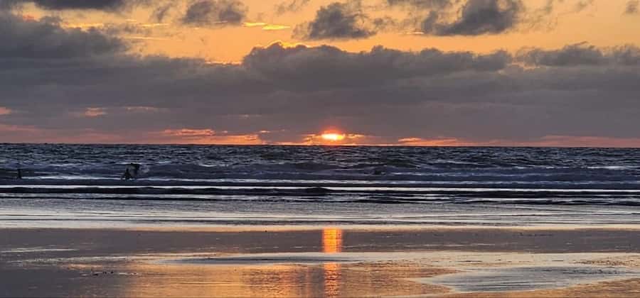 West Auckland: Sunset with Thermal pool & Wine Tasting - What the private vehicle adds