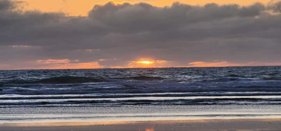 West Auckland: Sunset with Thermal pool & Wine Tasting - Languages, guiding, and the tone of the outing