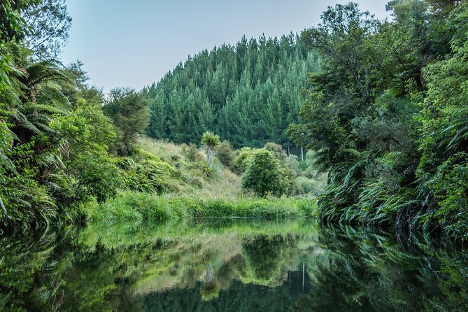 Whaka Geothermal Trails Self-Guided Tour - Shoes, sun protection, and practical comfort