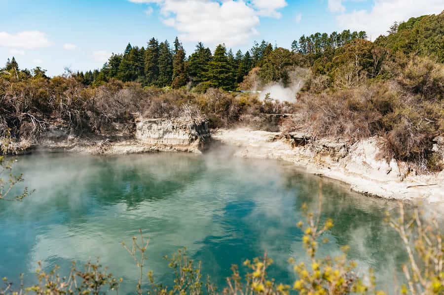 Whakarewarewa: Self-Guided Geothermal Trails - A Jurassic Park feel among steaming waters