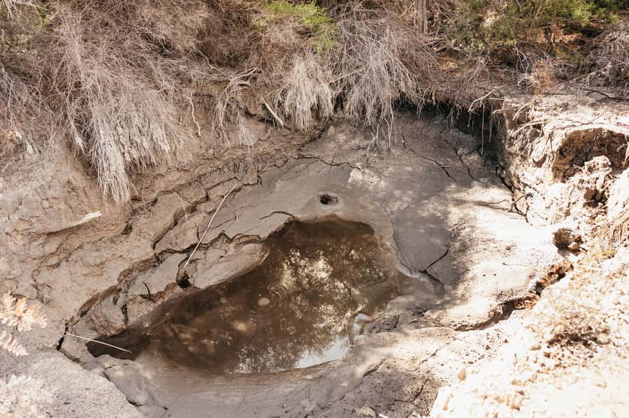 Whakarewarewa: Self-Guided Geothermal Trails - Viewpoints over the village and geysers