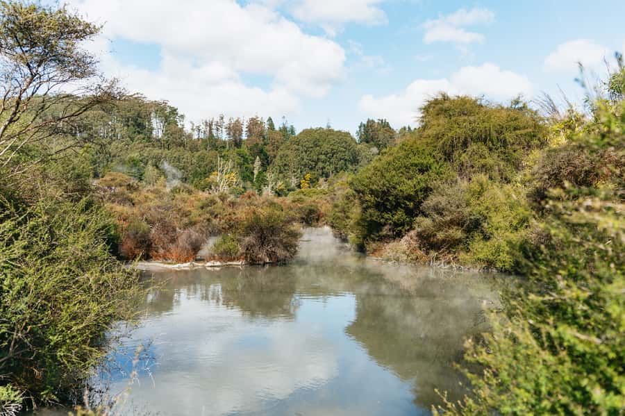Whakarewarewa: Self-Guided Geothermal Trails - What the $23 ticket really includes