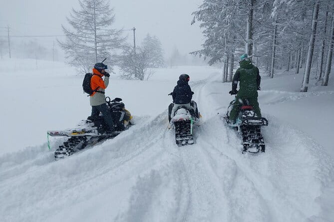 Winter Holiday Snowmobiling in Nozawa Onsen Area - Lunch with local specialties at 1:00