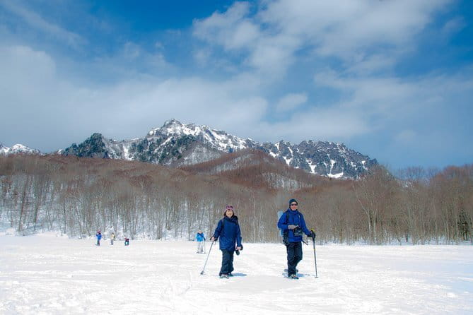 Winter Holiday Snowmobiling in Nozawa Onsen Area - Is $162.40 a fair price?