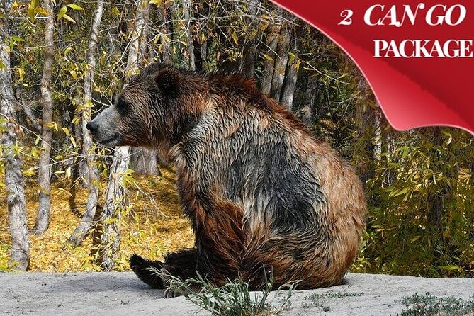 Yellowstone, Grand Teton, and Hot Springs: Small Group 5-Day Tour - Why this five-day route works