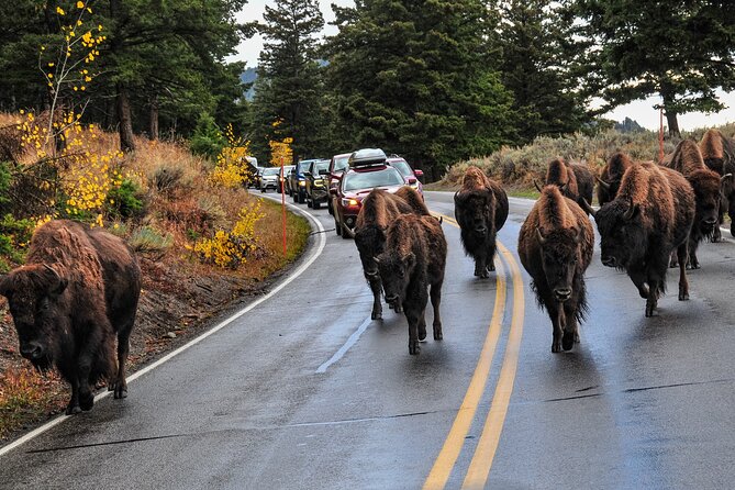 Yellowstone, Grand Teton, and Hot Springs: Small Group 5-Day Tour - Day 4: Grand Teton’s mountain and lake country