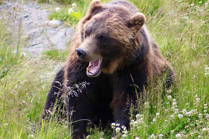 Yellowstone, Grand Teton, and Hot Springs: Small Group 5-Day Tour - Guides, group size, and the human side of the trip