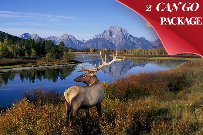 Yellowstone, Grand Teton, and Hot Springs: Small Group 5-Day Tour - Day 1: Salt Lake City, Antelope Island, and Utah’s state symbols