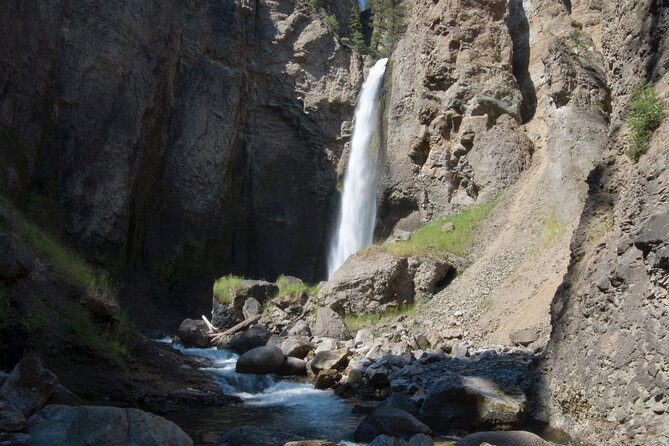 Yellowstone in a Day - Wildlife, Canyons, & Hot Springs - Key points at a glance