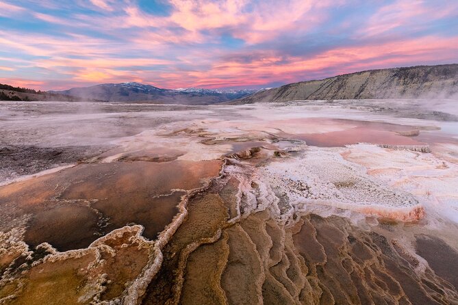 Yellowstone in a Day - Wildlife, Canyons, & Hot Springs - Why this Yellowstone day tour works for a short visit