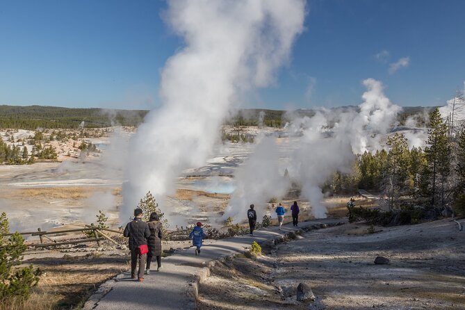Yellowstone in a Day - Wildlife, Canyons, & Hot Springs - Mammoth Hot Springs and Yellowstone’s mineral terraces