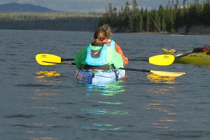 Yellowstone Lake & Hot Springs / 3 Hour Morning or Twilight Tour - West Thumb Geyser Basin from the water