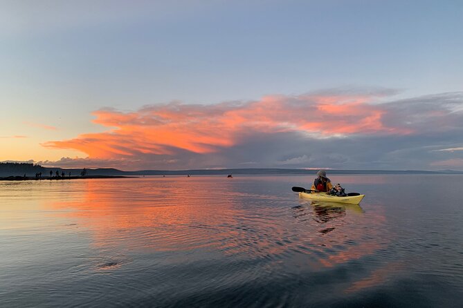 Yellowstone Lake & Hot Springs / 3 Hour Morning or Twilight Tour - The four to five mile route along Yellowstone Lake