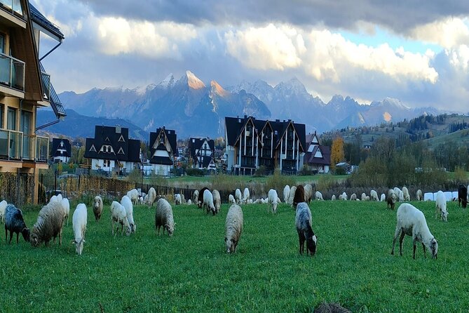 Zakopane and Thermal Pools Tour with Hotel Pickup - A full day from Krakow to the Tatra foothills