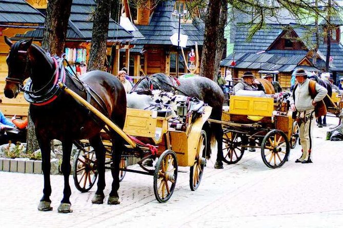 Zakopane full day tour with cable car & thermal baths from Krakow - Why this Krakow to Zakopane day works