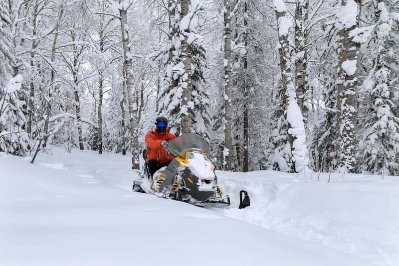 Zakopane: Snowmobiles (or Quads), Thermal Pools & Tasting - Snowmobile or Quad Riding Near the Tatras