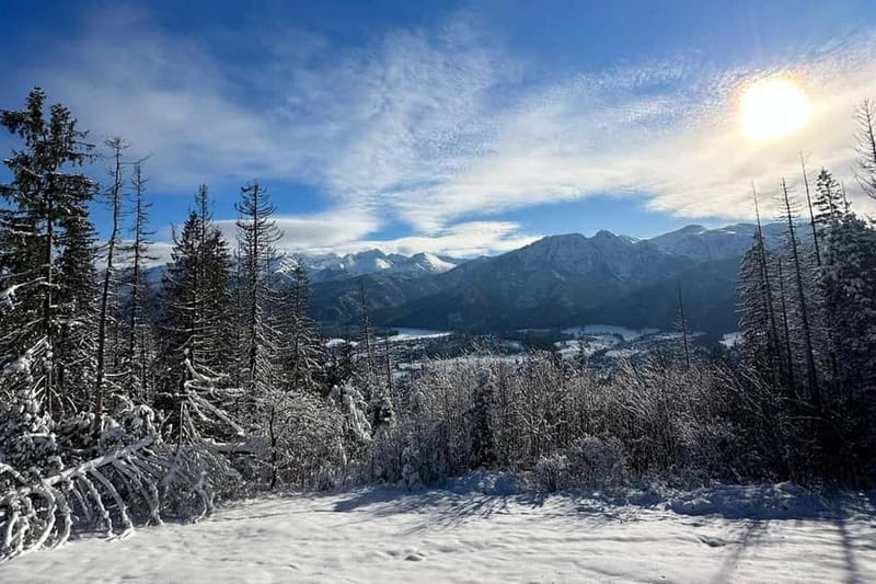Zakopane: Snowmobiles (or Quads), Thermal Pools & Tasting - Thermal Pools and a Drink Without Leaving the Water