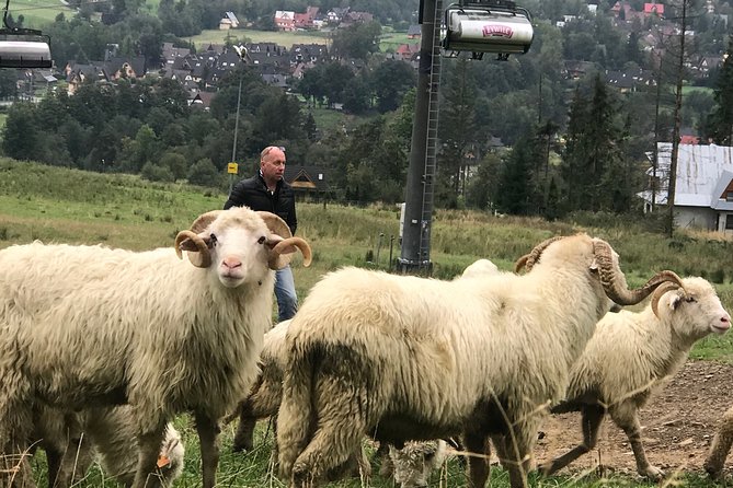 Zakopane & Thermal Pools - Customized Tour - Krupówki Street for cheese, crafts, and lunch