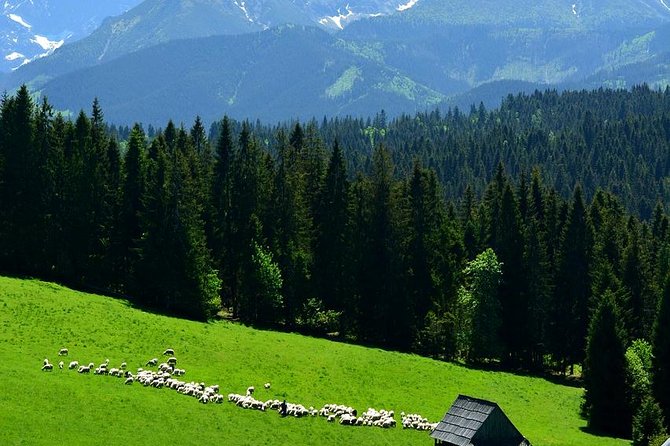 ZAKOPANE & THERMAL SPRINGS, Funicular, Cheese Tasting - Riding the Gubałówka funicular