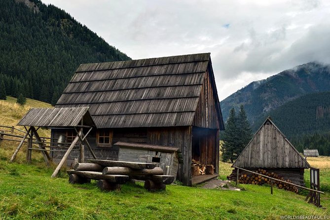 Zakopane & Thermal Springs: Private Tour - Riding the cable car to Gubałówka