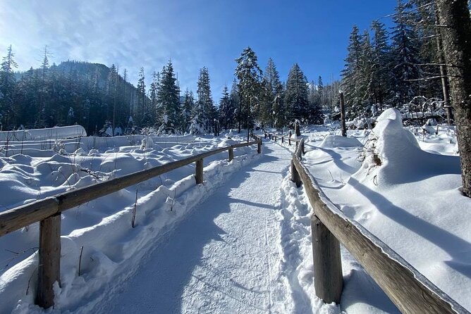 Zakopane Tour from Krakow with Thermal SPA and Hotel Pick up - Two hours along Krupowki Street