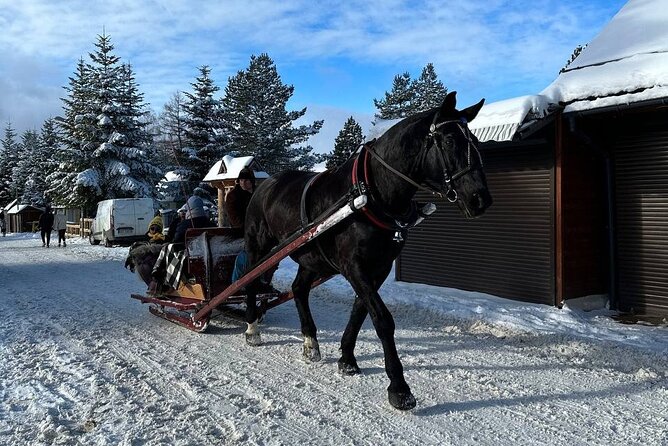 Zakopane Tour from Krakow with Thermal SPA and Hotel Pick up - Witow shepherd’s hut tasting